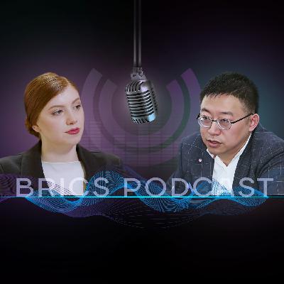 Director of Center for BRICS Studies at Fudan University, Shen Yi: “BRICS is very new and innovative mechanism”