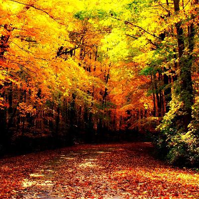 Waxy Buildup: Autumn/Fall