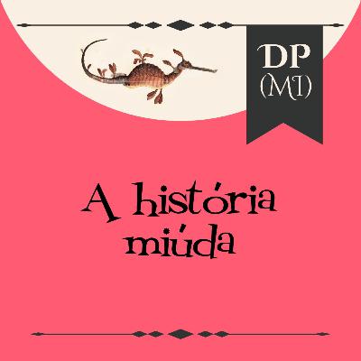 A história miúda