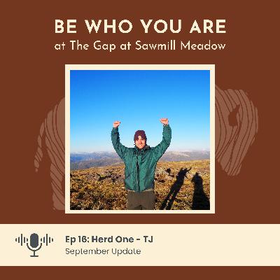 Ep 16: Herd One - TJ Ep 16: Herd One - TJ