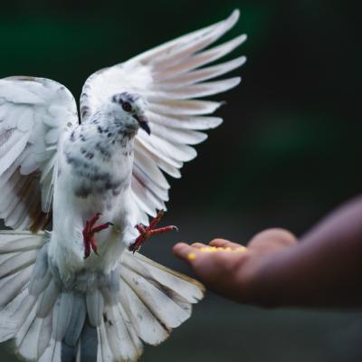 #91 - 🇪🇸 5. Permaneciendo en el Espíritu - Serie Espíritu Santo #91 - 🇪🇸 5. Permaneciendo en el Espíritu - Serie Espíritu Santo