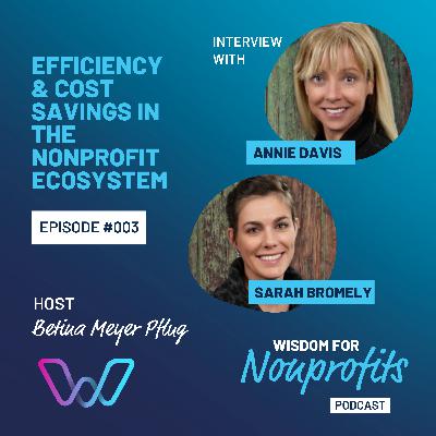Efficiency & cost savings in the Nonprofit ecosystem