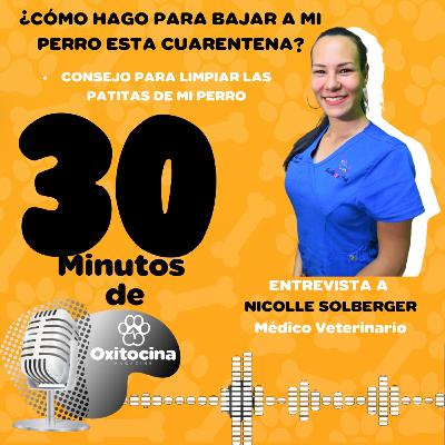 30 Minutos de Oxitocina: ¿Cómo hago para bajar a mi perro esta cuarentena?