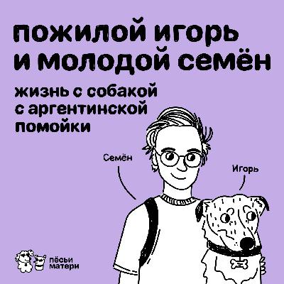 Пожилой Игорь и молодой Семён. Жизнь с собакой с аргентинской помойки