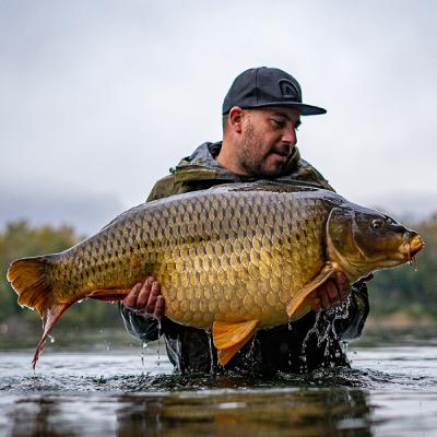 Studio Talk #66 - Nederlandse veertigers van Frank van Schaik