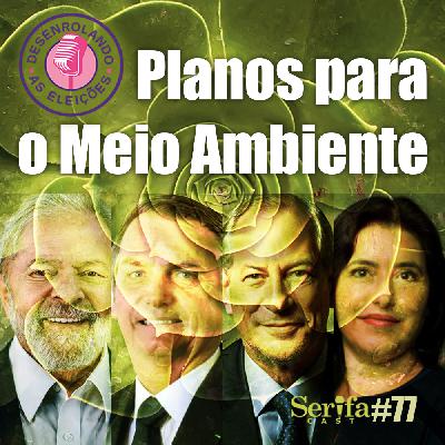 Quais os planos para o Meio Ambiente dos candidatos à Presidência da República do Brasil - Desenrolando as Eleições Quais os planos para o Meio Ambiente dos candidatos à Presidência da República do Brasil - Desenrolando as Eleições