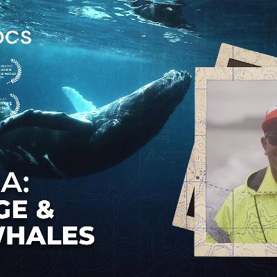 George & The Whales: A Guide’s Life Among Tonga’s Giants