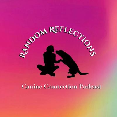 Random Reflections: Labels