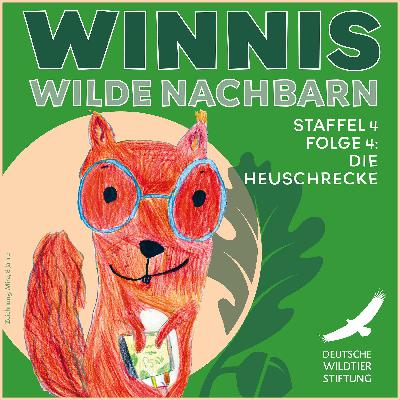 Staffel 4 / Folge 4 Alpine Gebirgsschrecke & Warzenbeißer: Huckepack-Sprünge, Schrecken-Schleim und Zähne-Knirschen