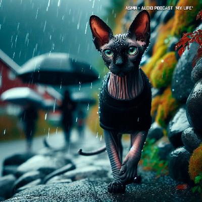 ASMR - Сильный летний ливень