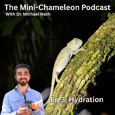 Hydrating Mini Chameleons