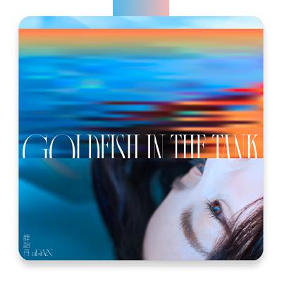 在孤獨金魚圖鑑的水波光影中，找到你的心靈迴聲 ft.薛詒丹（繆思會客室）