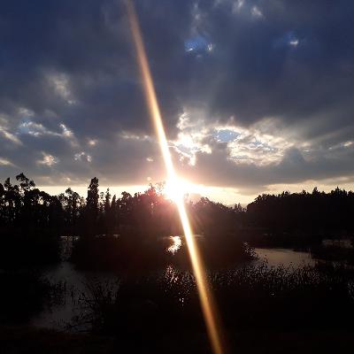 Reflexiones en torno a la actualidad de la filosofía