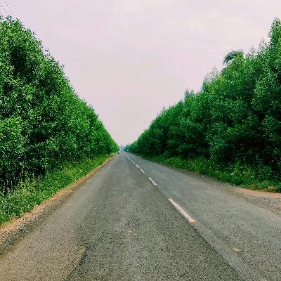 How to Respond for life?