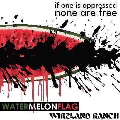 Watermelon Flag - Wireland NOW