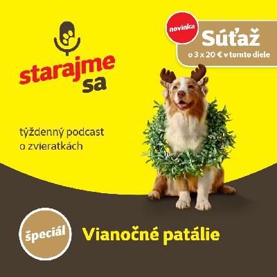 Špeciál: Vianočné patálie Špeciál: Vianočné patálie