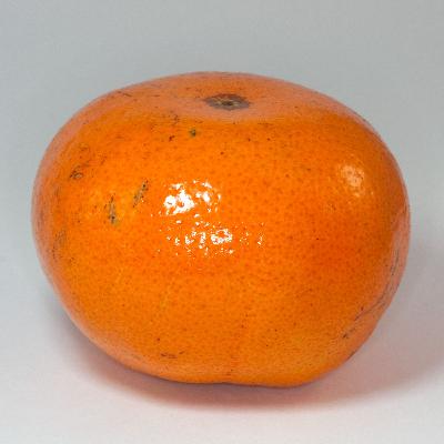 S3 Ep592: Tangerijnen, een nauwelijks bekende citrusvrucht - Info over DMPS S3592 S3 Ep592: Tangerijnen, een nauwelijks bekende citrusvrucht - Info over DMPS S3592