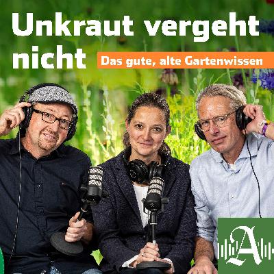 Der Garten lebt – auch und erst recht im Winter Der Garten lebt – auch und erst recht im Winter