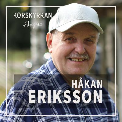 Ett nytt nådens år från Herren Ett nytt nådens år från Herren