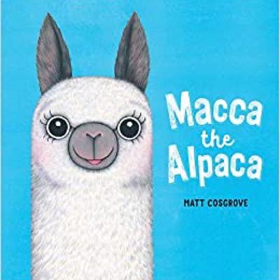 Macca the Alpaca Macca the Alpaca