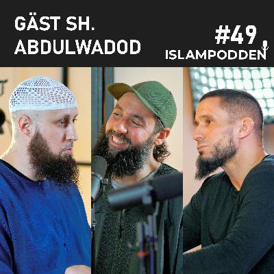#49, Drömtydning i islam: Vad berättar våra drömmar för oss? Gäst: Shaykh Abdulwadod #49, Drömtydning i islam: Vad berättar våra drömmar för oss? Gäst: Shaykh Abdulwadod