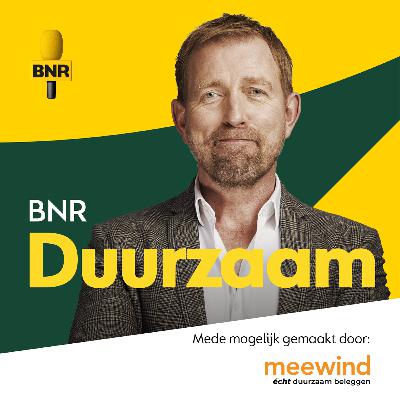 Deze warmtebatterij kan de industrie van het gas halen