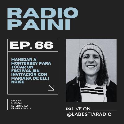 Radio Paini #66 - Mariana de Elli Noise