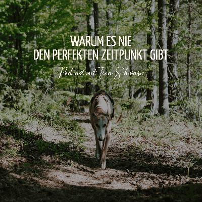Warum es nie den perfekten Zeitpunkt gibt Warum es nie den perfekten Zeitpunkt gibt