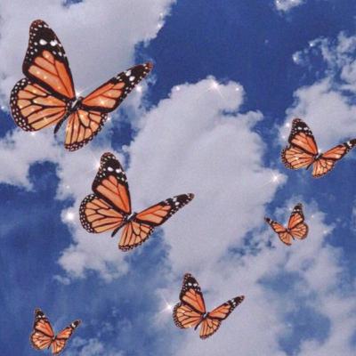 Good Stupidity: Hue Hatred