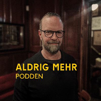 Avsnitt 31 – Renoveringsraseriet om fönsterbyten, byggnadsvård och jakten på originaldetaljer – Alfred Skogberg