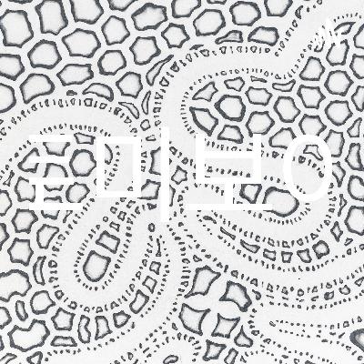 슬픔이 기쁨에게