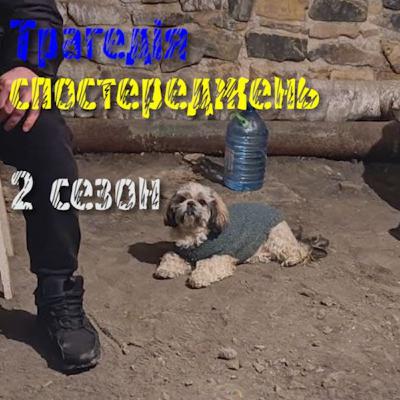 Війна в Україні. Перші чотири дні з Харкова.