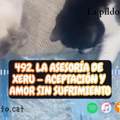 492. La Asesoría de Xeru – Aceptación y amor sin sufrimiento