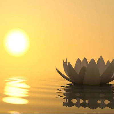 The 5-Minute Self Compassion Break