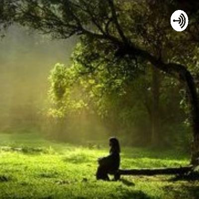 Limpeza e resolvendo situações.