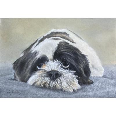 Episode 424: Finished Laying Dog