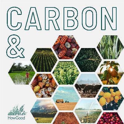 Leaders in Climate Reporting: Symrise & Ingredion
