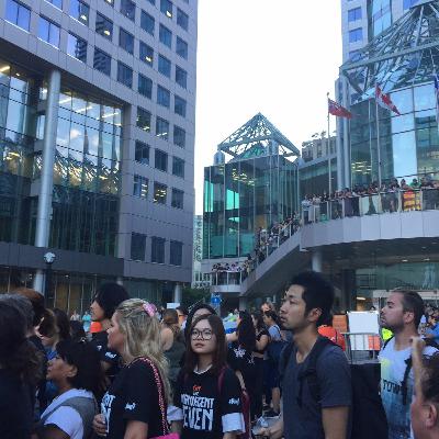 TIFF fans go wild