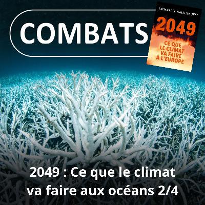 S05E30 2049 : Ce que le climat va faire à l'Europe 2/4, océan... danger ! (Nathanaël Wallenhorst)