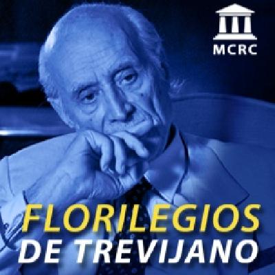 Diferencias constitucionales