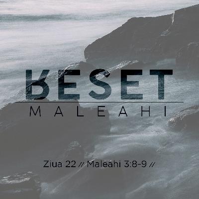 RESET // Ziua 22 // RESET // Ziua 22 //