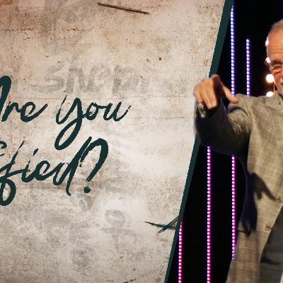 How To Live A Satisfied Life How To Live A Satisfied Life