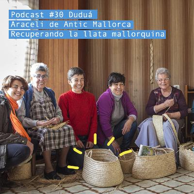 Araceli de Antic Mallorca: Recuperando la llata mallorquina