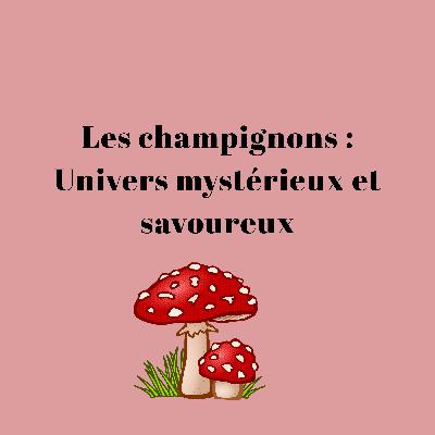 Les champignons : Univers mystérieux et savoureux