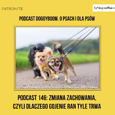 Podcast 146: Zmiana zachowania, czyli Dlaczego gojenie ran tyle trwa Podcast 146: Zmiana zachowania, czyli Dlaczego gojenie ran tyle trwa