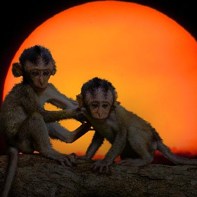YV - YoVirtualizador 74 - Recursos y humanos podcast