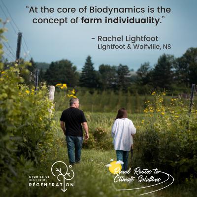 Connecting People to Place on Rachel Lightfoot's organic, biodynamic vineyards
