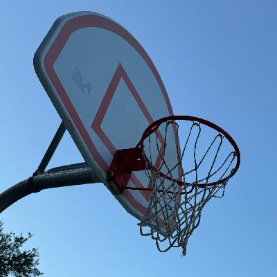 Episode 450: City of Sarasota removes basketball hoops following neighbor's threats Episode 450: City of Sarasota removes basketball hoops following neighbor's threats