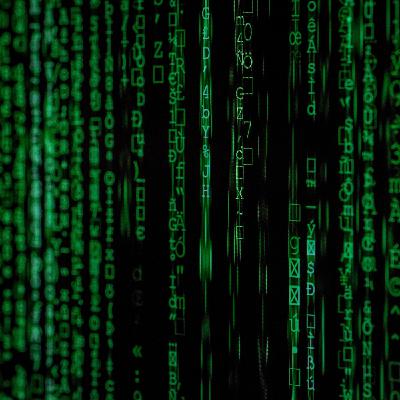 The Simulation Theory The Simulation Theory