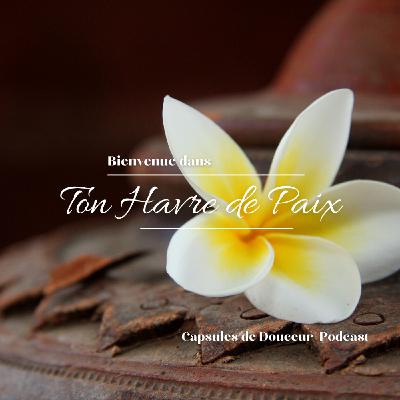 Bienvenue dans ton Havre de Paix : Capsules de Douceur Le Podcast